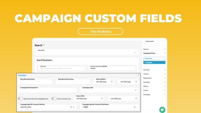 Campaign Custom Fields