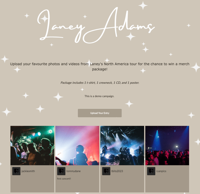 Upload Campaign Example